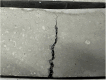 Fig 8