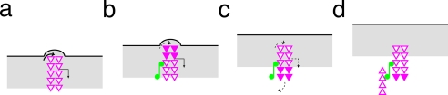 Figure 8.