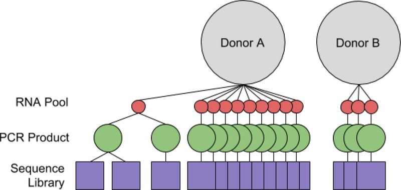 Figure 1 -