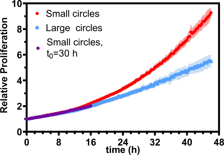 Figure 1—figure supplement 1.