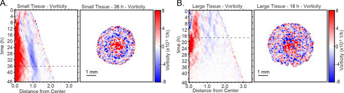 Figure 3—figure supplement 2.