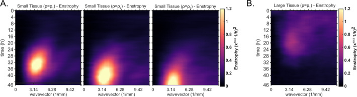 Figure 3—figure supplement 3.