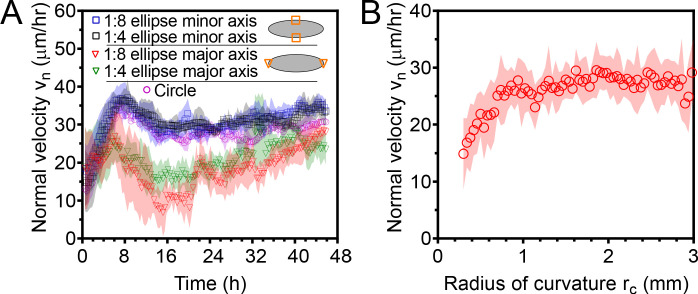 Figure 1—figure supplement 2.