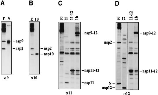 FIG. 5
