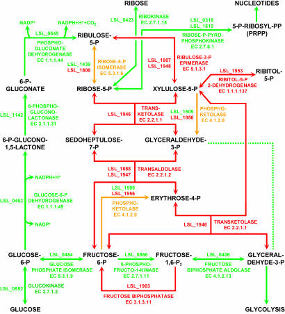 Fig. 2.