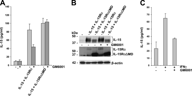 FIG. 6.