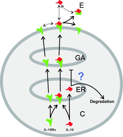 FIG. 8.