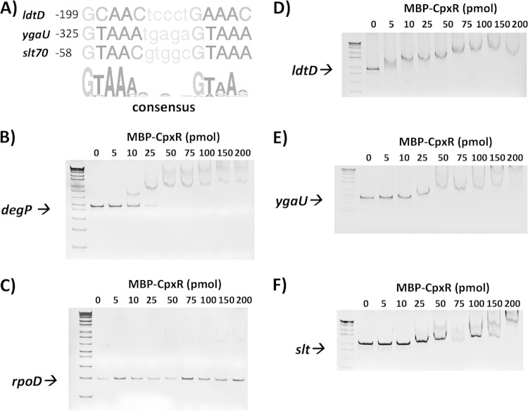 FIG 2