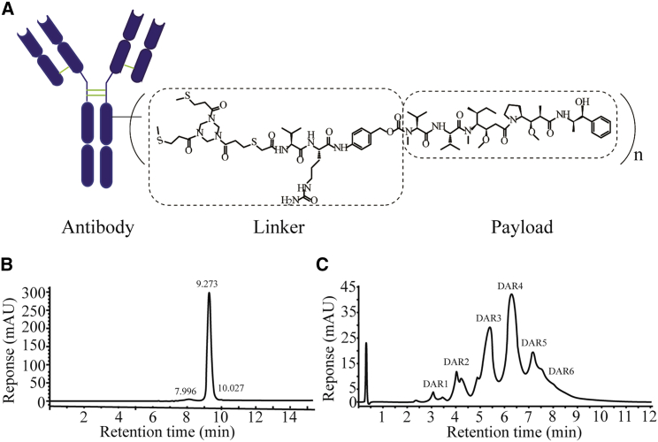 Figure 1