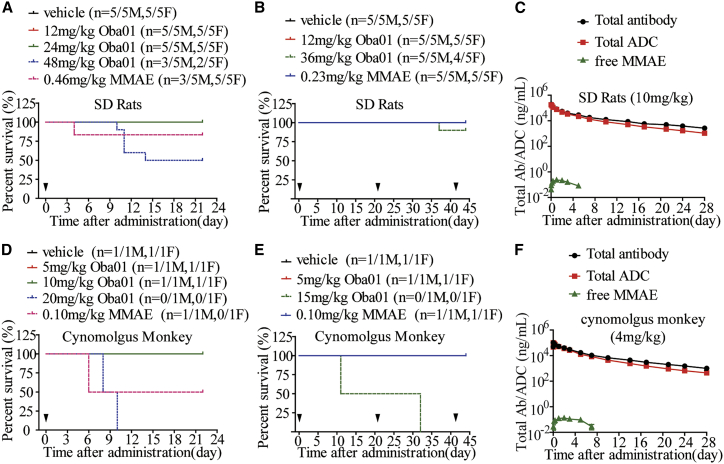 Figure 6