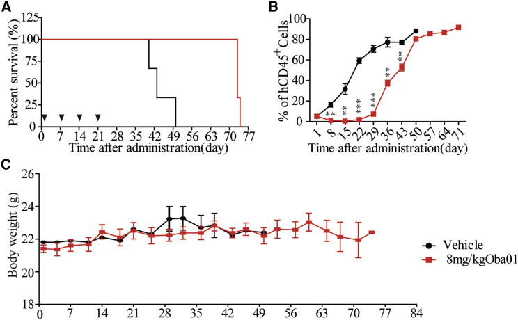 Figure 5