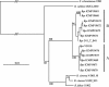 FIG 3