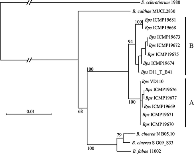 FIG 3