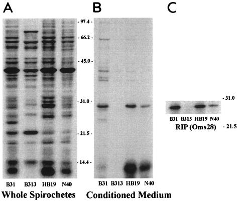 FIG. 6.