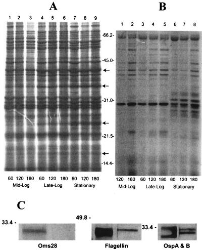 FIG. 5.