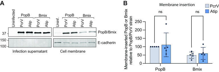 FIG 3