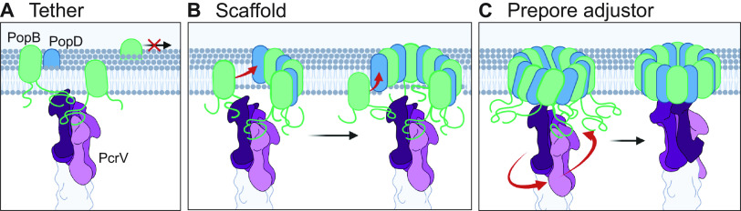 FIG 6