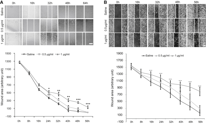 Figure 6