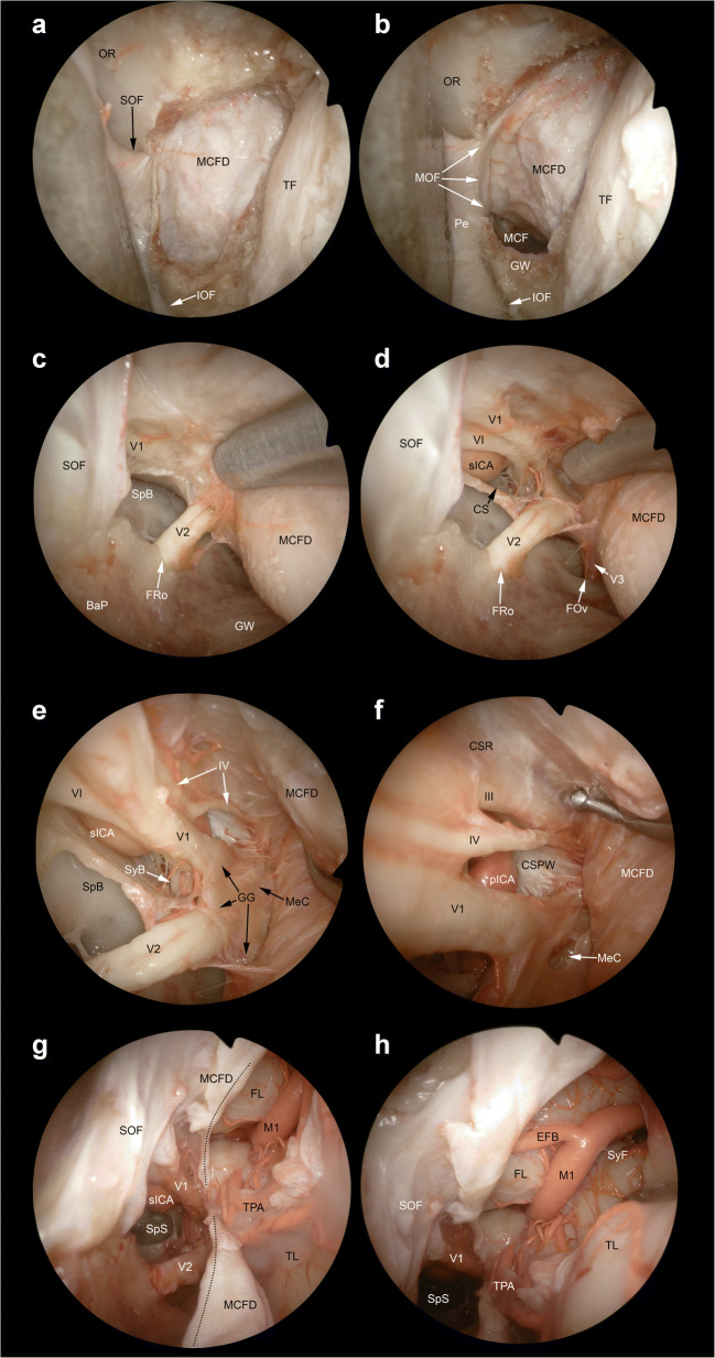 Fig. 8