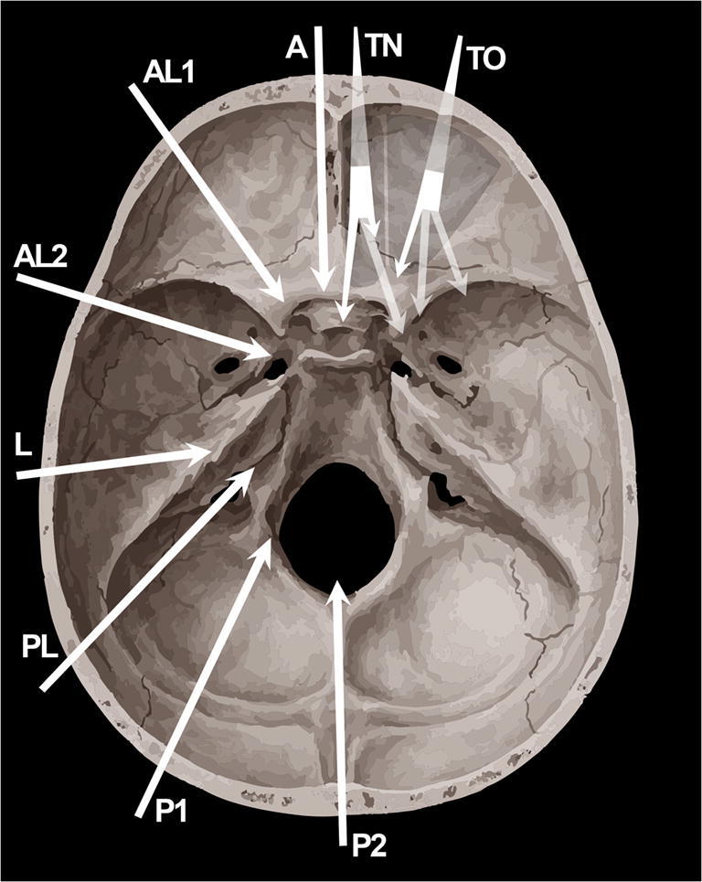 Fig. 3