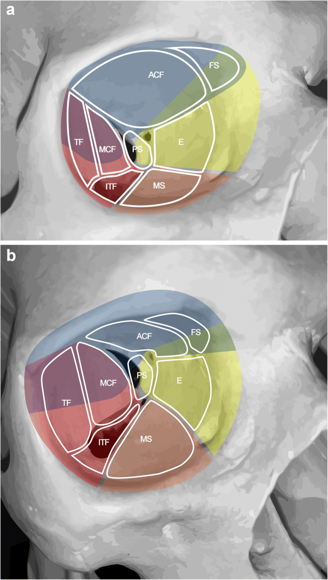 Fig. 4