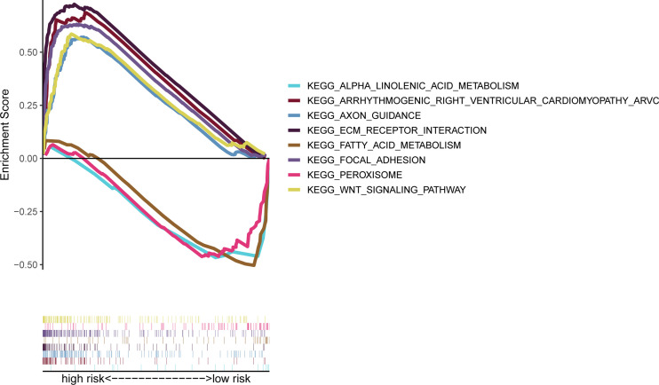 Figure 7