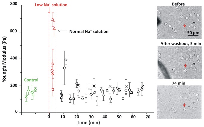 Figure 7