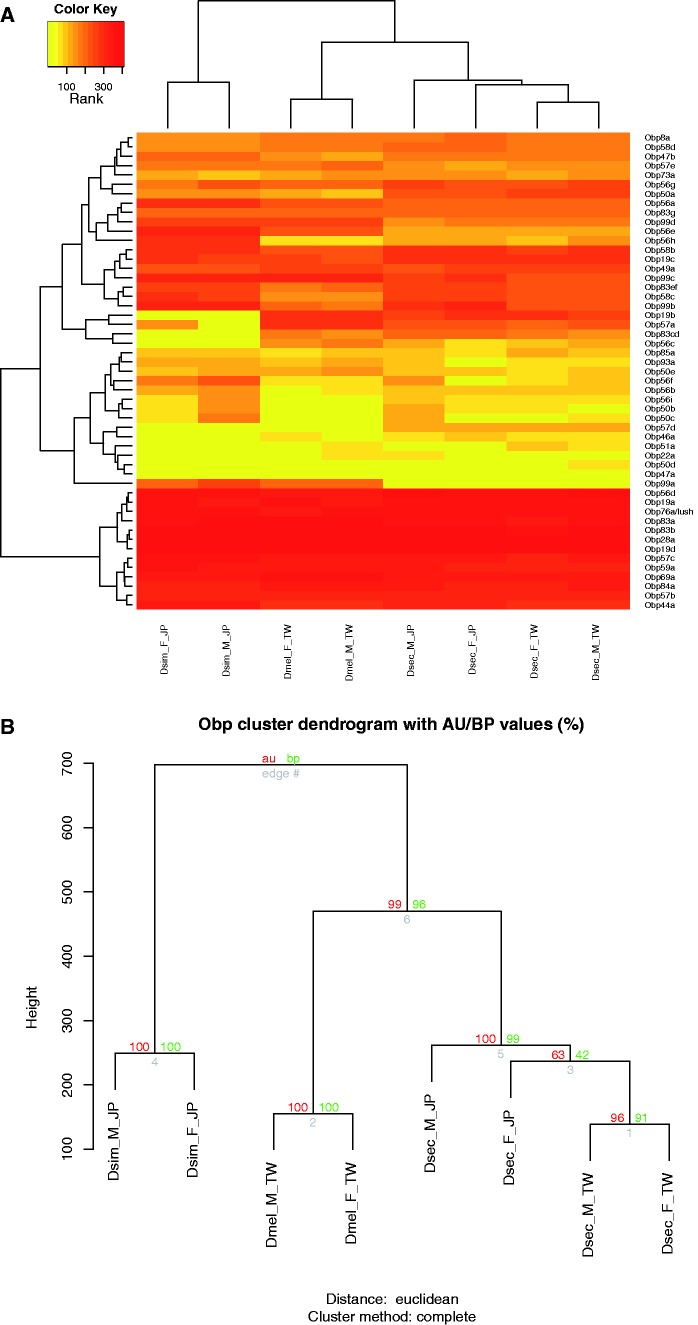 Fig. 4.—