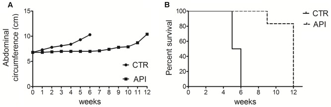 FIGURE 10