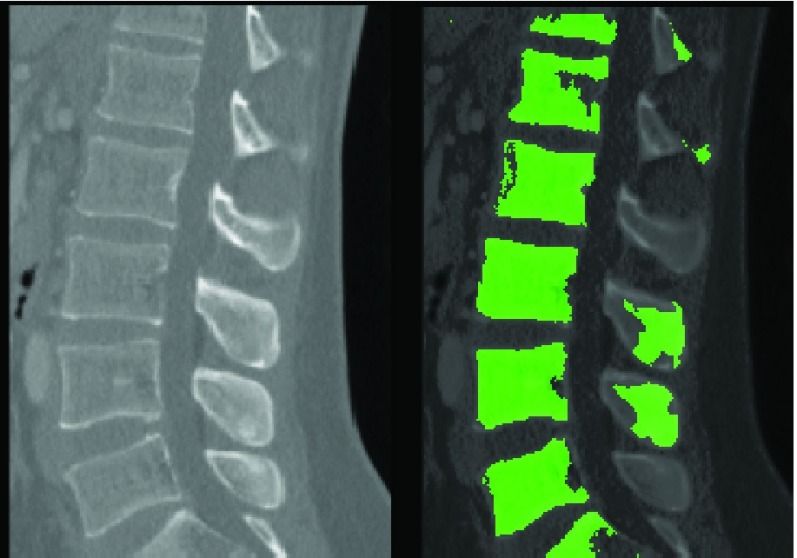 FIGURE 12.