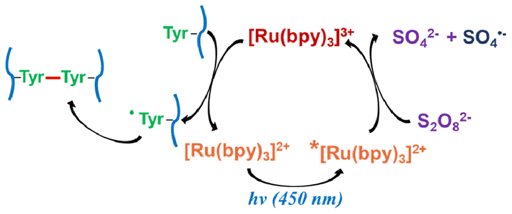 Fig 1.