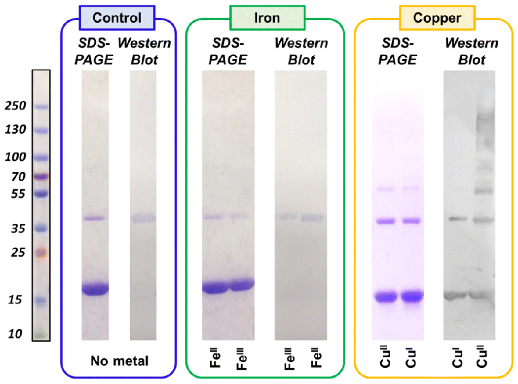 Fig 3.