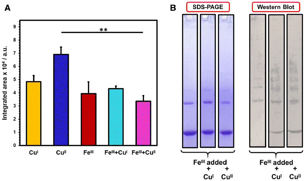 Fig 6.