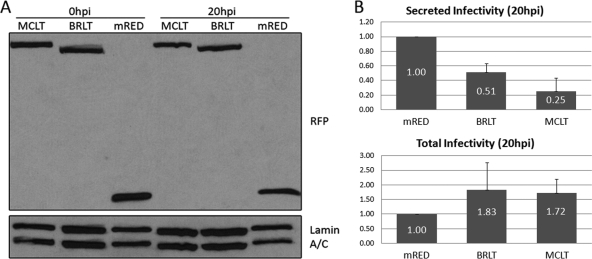 FIG. 5.