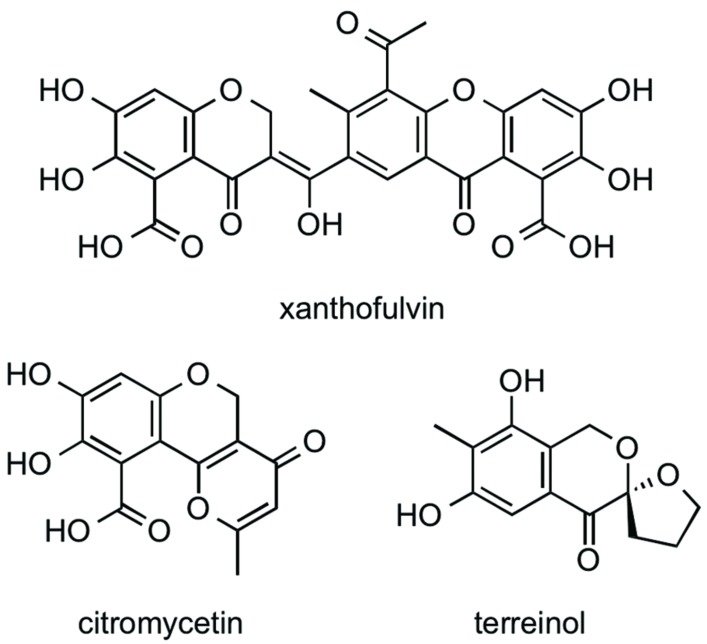 FIGURE 3