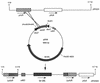 FIG. 2.