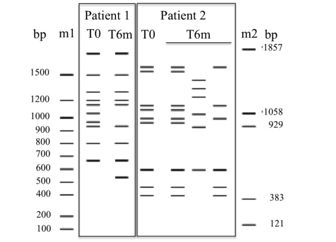 Fig. (4)