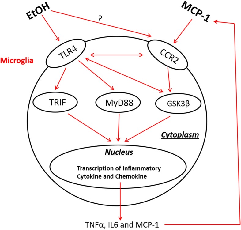 Fig. 10