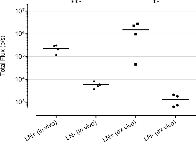 Figure 7