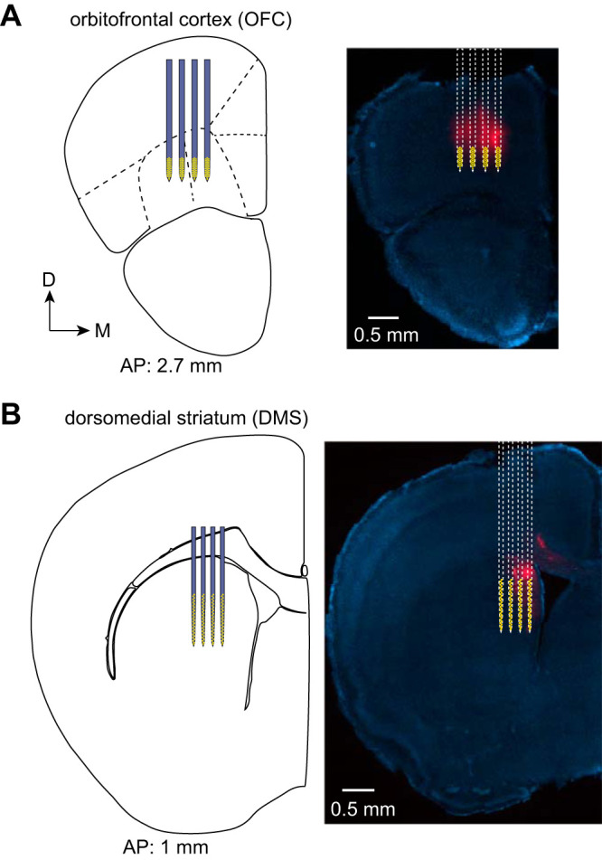 Fig. 2.