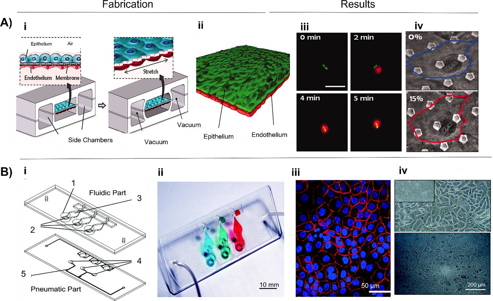 Figure 3: