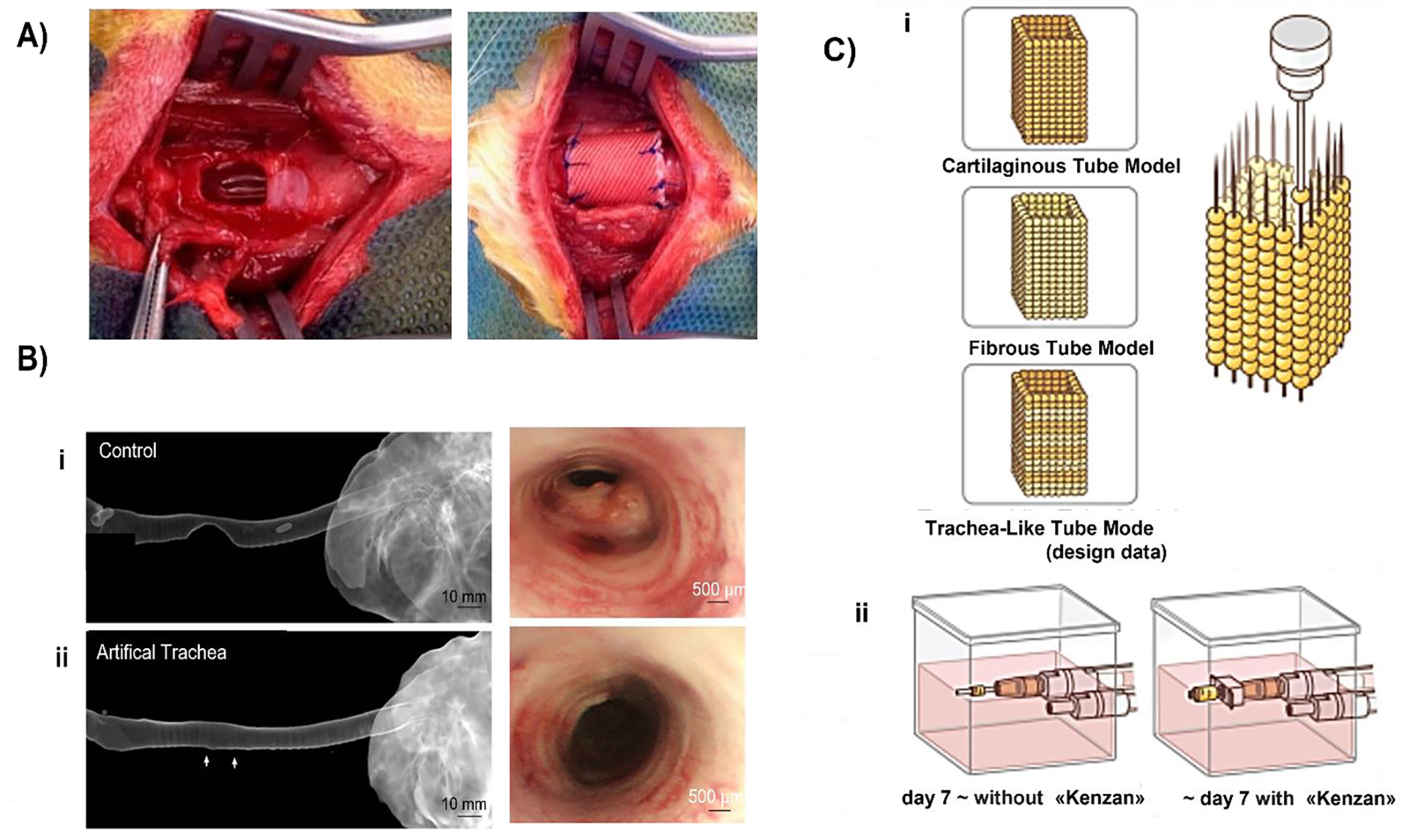 Figure 2: