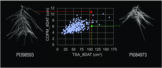 Fig. 8.