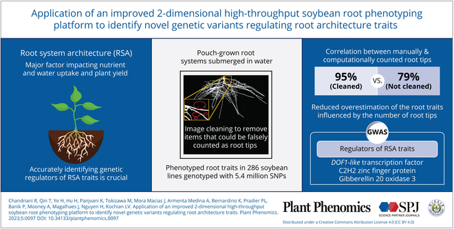 Graphical Abstract