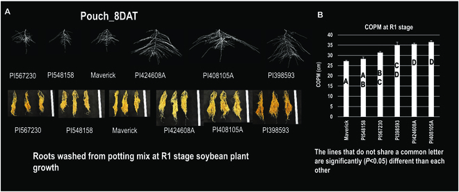 Fig. 7.