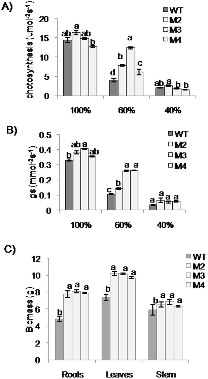 Fig 6