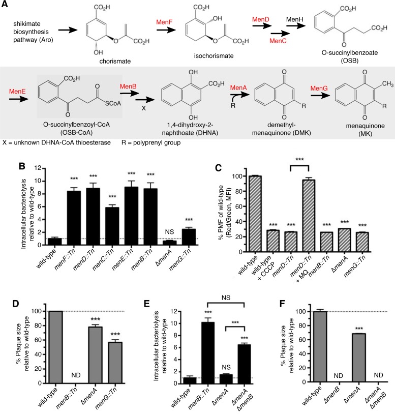 FIG 6 