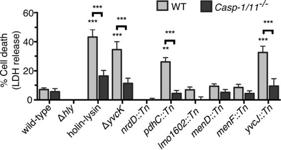 FIG 3 