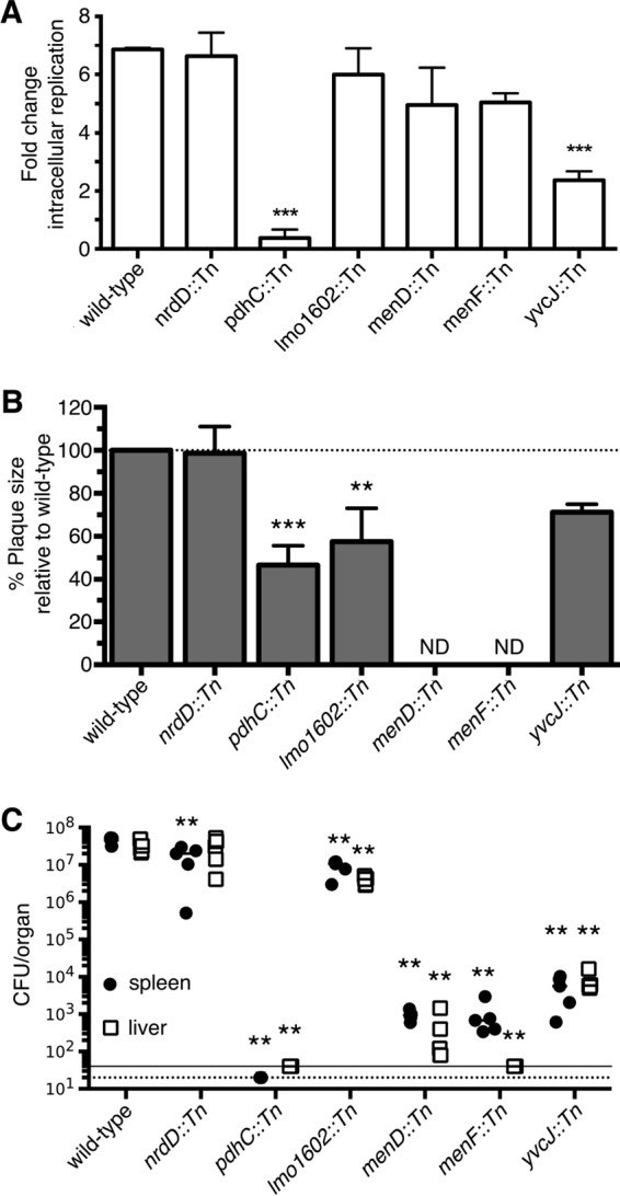 FIG 2 