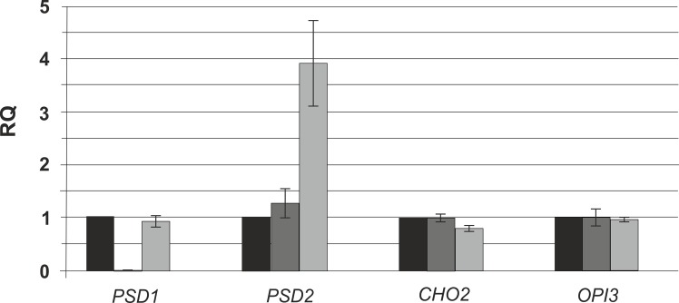 Fig 4